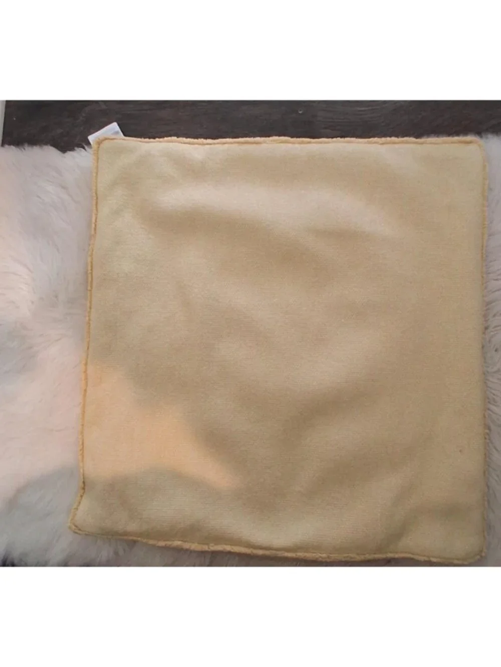 Pottery Barn nwt pillow cover 22x22 pale yellow ? cotton lyocell